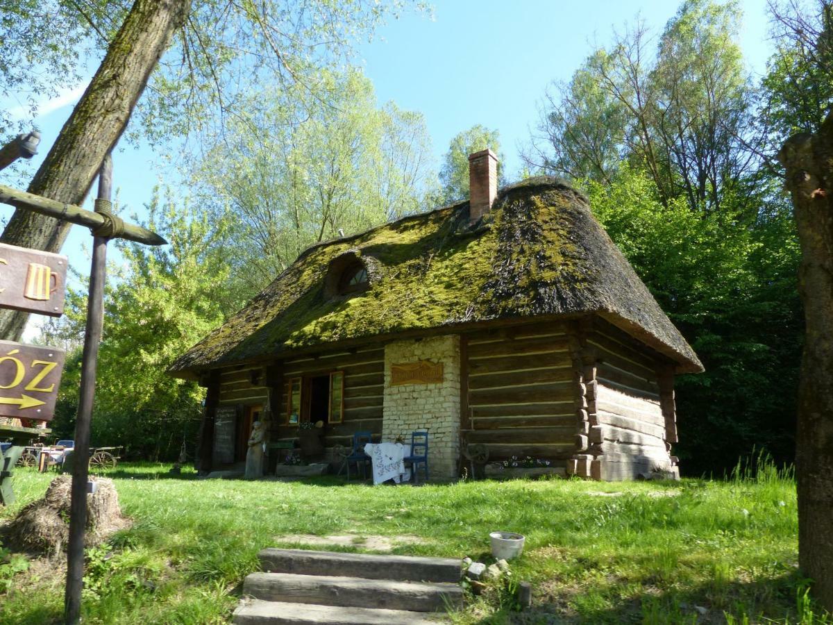 Villa Alpaka-Ranczo Aff Puławy Exterior foto